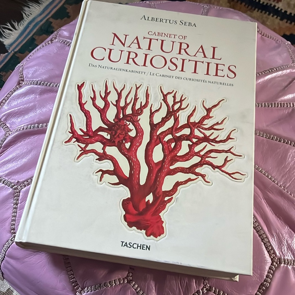 Cabinet of Natural Curiosities